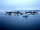 on leaving oslo
